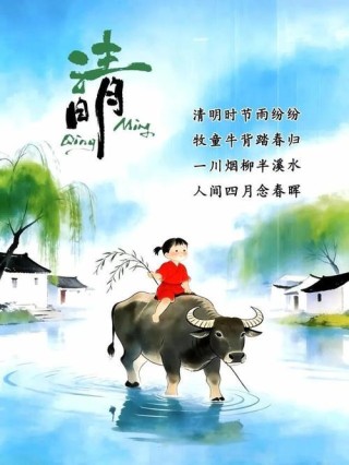 岁岁清明