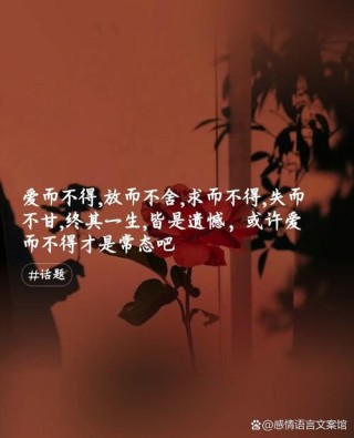 爱情里的扎心短句，你让我念念不忘，寝食难安