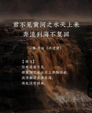 黄河滩，我遥远的故乡