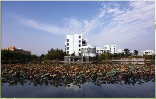 杭州师范大学钱江学院专业排名（王牌优势专业排行榜）