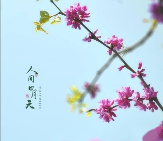等待四月天