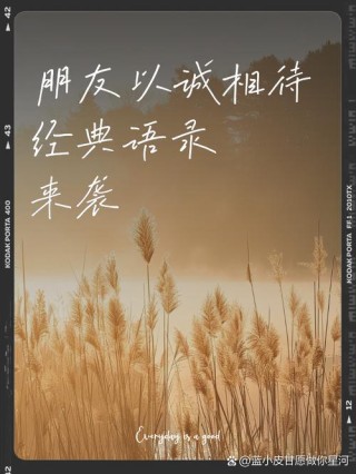 与人相处，请真心相待！（句句入心）