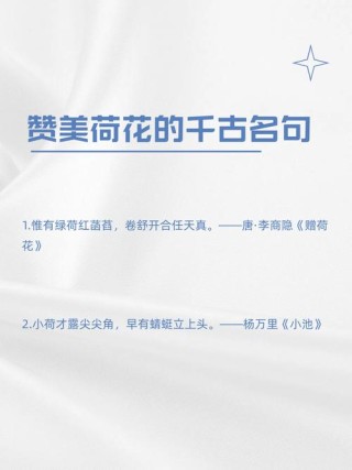 以下是一些描写荷花形态的优美句子： 1