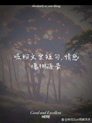 情感语录短句，情感语录短句，珍惜每一份情感，让爱在心间流淌。