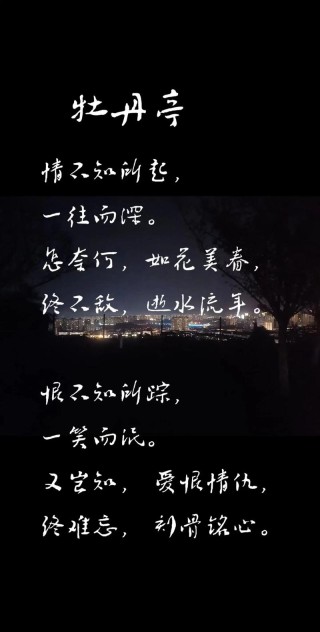 一念执着，情丝缠绕，天涯海角，思念依旧