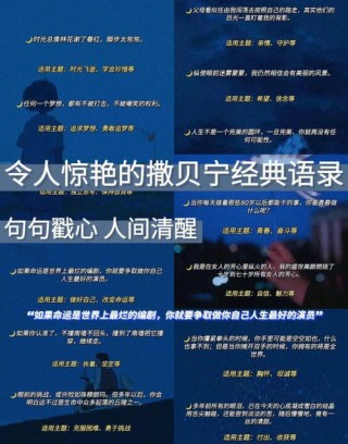 撒贝宁语录