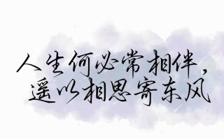 等一人，相伴余生，念一人，思念永恒