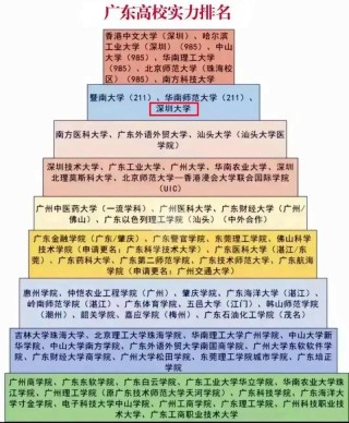 深圳大学专业排名（王牌优势专业排行榜）