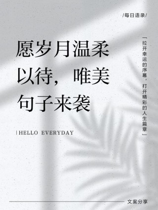 愿岁月生动而干净