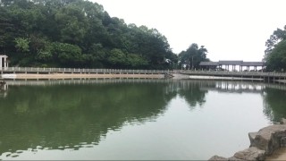 真假是非