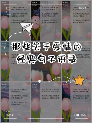 最暖心幸福唯美的十大爱情金句 句句走心 值得收藏