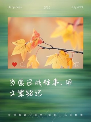 当爱已成习惯