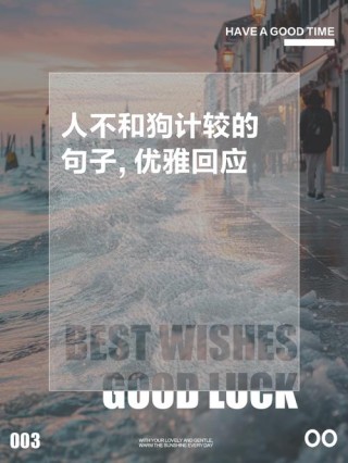 最新人生感悟的经典好句子，不和别人比较，不和自己计较