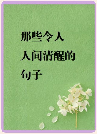 人间清醒的高级文案之善良