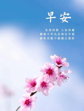 微信早上好充满正能量的经典励志语录