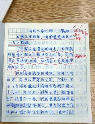 描写鹦鹉的作文（精选30篇）