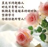 周三心语 重拾努力、拼搏的勇气，追寻成功的足迹 ！
