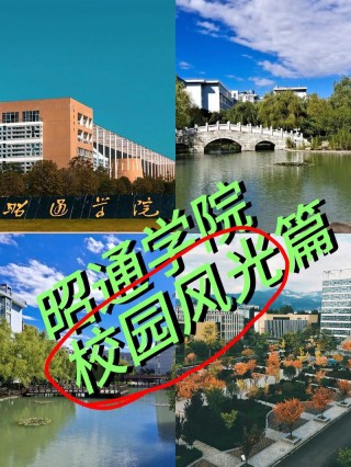 昭通有哪些职业技术学院