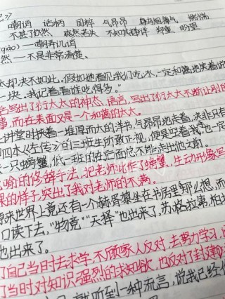 《朝花夕拾》之《琐记》好句摘抄及赏析