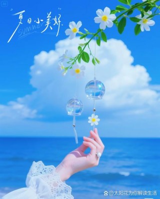 握住夏日的光，定格世间美好