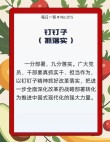 小钉子有大智慧：发扬钉子精神
