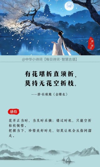 有花堪折直须折，莫待无花空折枝