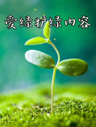 绿色希望
