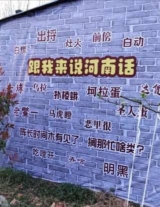 你真的会说河南话吗？这10句会3句就算你是河南人