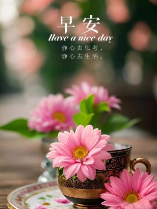 优美早安心语，干净有气质，值得分享