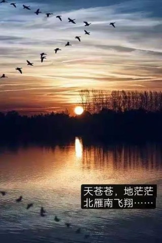 高天归兮