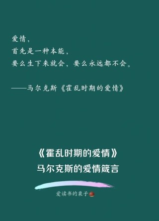 馬丁·路德·金語錄50句經典語錄：爲平等而奮鬥｜ 愛與和解