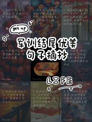 精彩结尾摘抄（Day6）