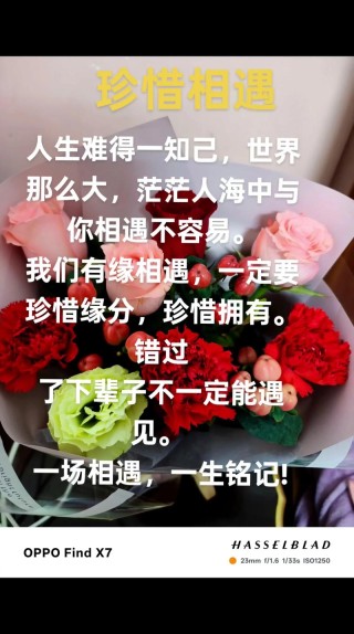 今生今世的感恩，来生来世的相续（鼎然）