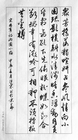 山园小梅