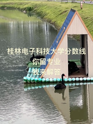 桂林电子科技大学在广西录取位次及分数线、招生人数（2023-2025招生计划）
