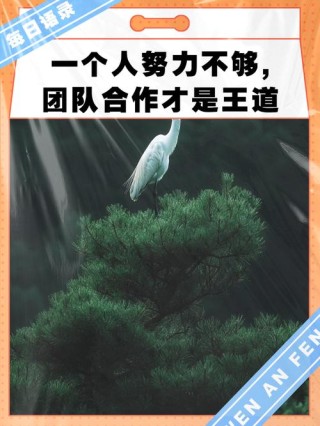 干劲满满，共赴星辰大海——那些让人热血的团队奋斗励志语