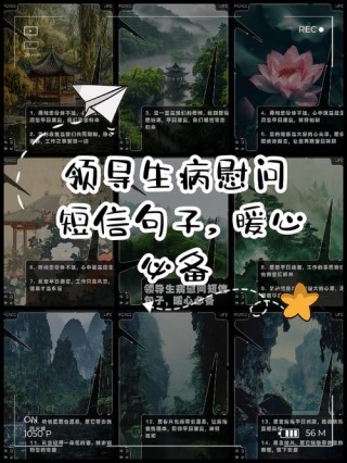 领导住院发个问候短信