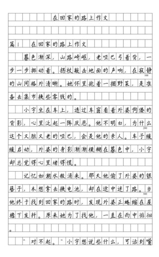 回家的路上高二作文
