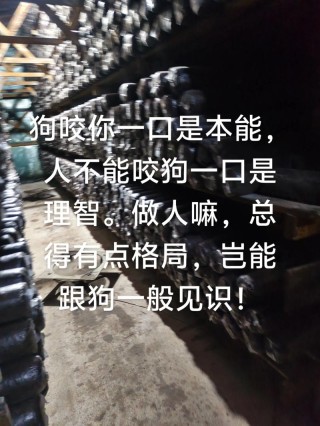 你的蛮狠逻辑