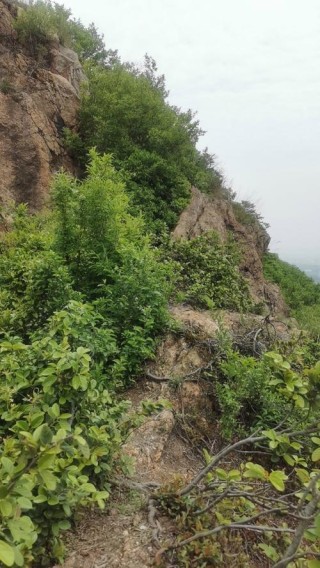 远去的阳山洼