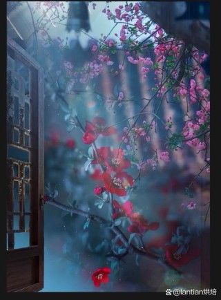 开心灵之窗，观人生美景