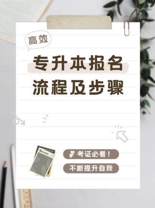 阳光高考网怎么注册登录（图文操作指南）