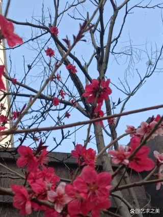 “馨颜春调肤养肤”如同春日里的一抹阳光，照亮了追求美丽与健康的旅人之路。