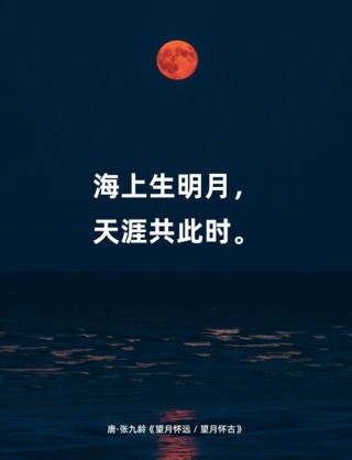 姚丹华：天清江月白，心静海鸥知
