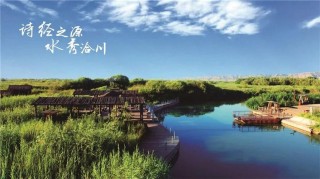 伊在故里