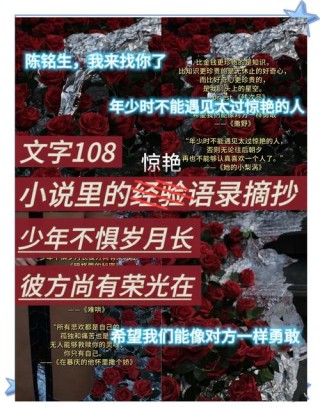 小说里摘抄下来的神仙句子