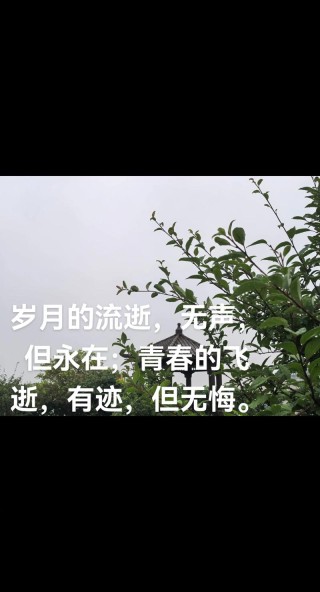 时光如梭，青春难再