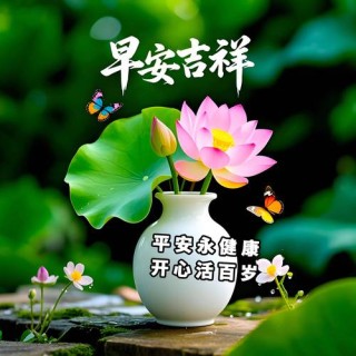 早晨问安：我们互相祝福着，平安着，健康着，早安！