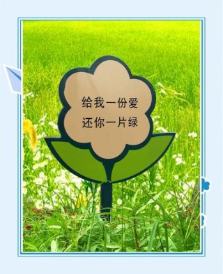 一花一木皆有情 爱绿护绿我先行