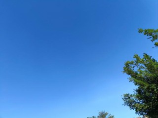 六月，天空湛蓝，万物葱茏。
